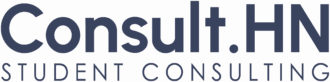 FIXED LOGO v2 scaled Klassisches Consult.HN Logo in blau